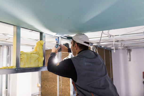 Best Residential Insulation in Tavernier, FL